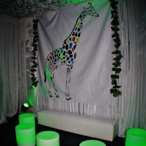 Medium Backdrop - Giraffe With Coloured Spots