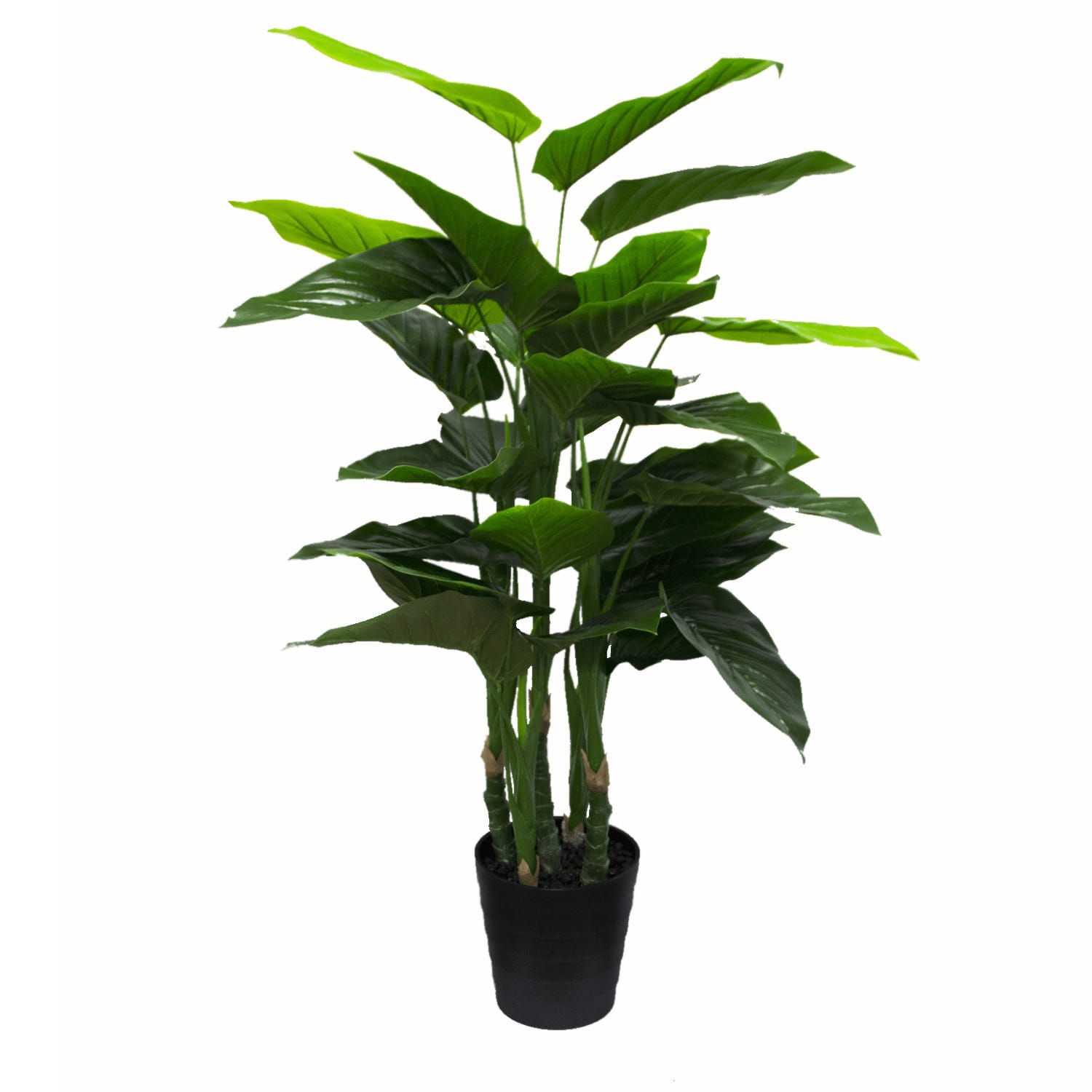 Artificial Philodendron Plant. Add some life and greenery to your event space with this large-sized artificial leafy potted plant.