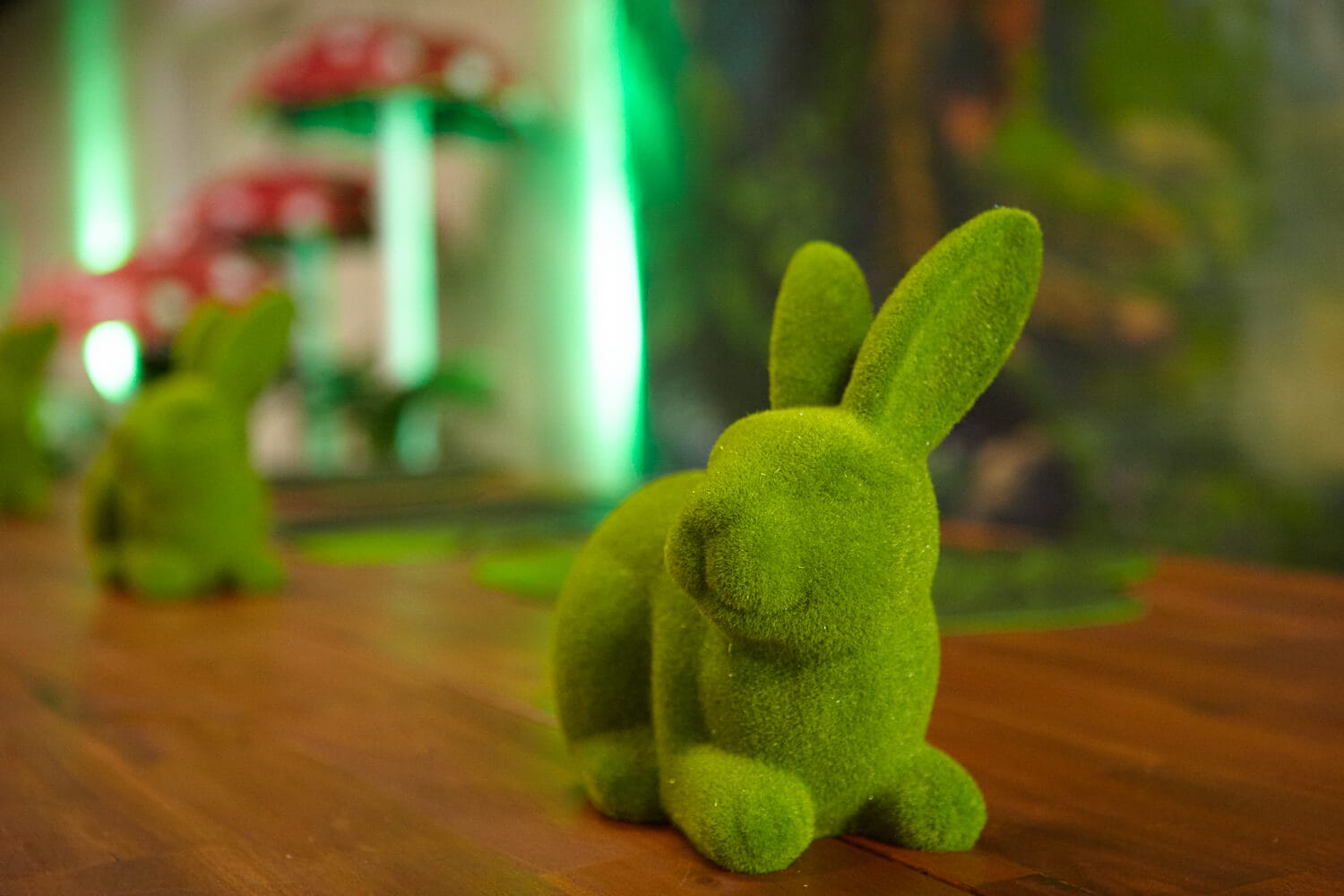 Moss Rabbit Hire Melbourne In Enchanted Theme