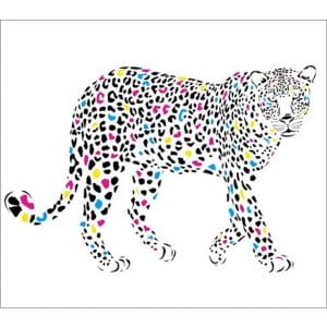 Standard Coloured Cheetah Backdrop Hire Melbourne