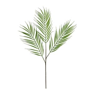 Leaf-Palm-Grass-Hire