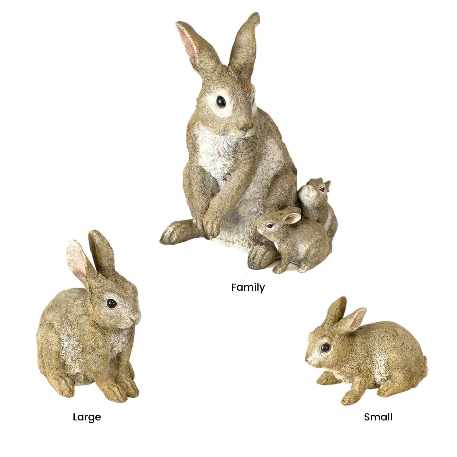 Realistic-Rabbits-Sizes-Hire-Melbourne