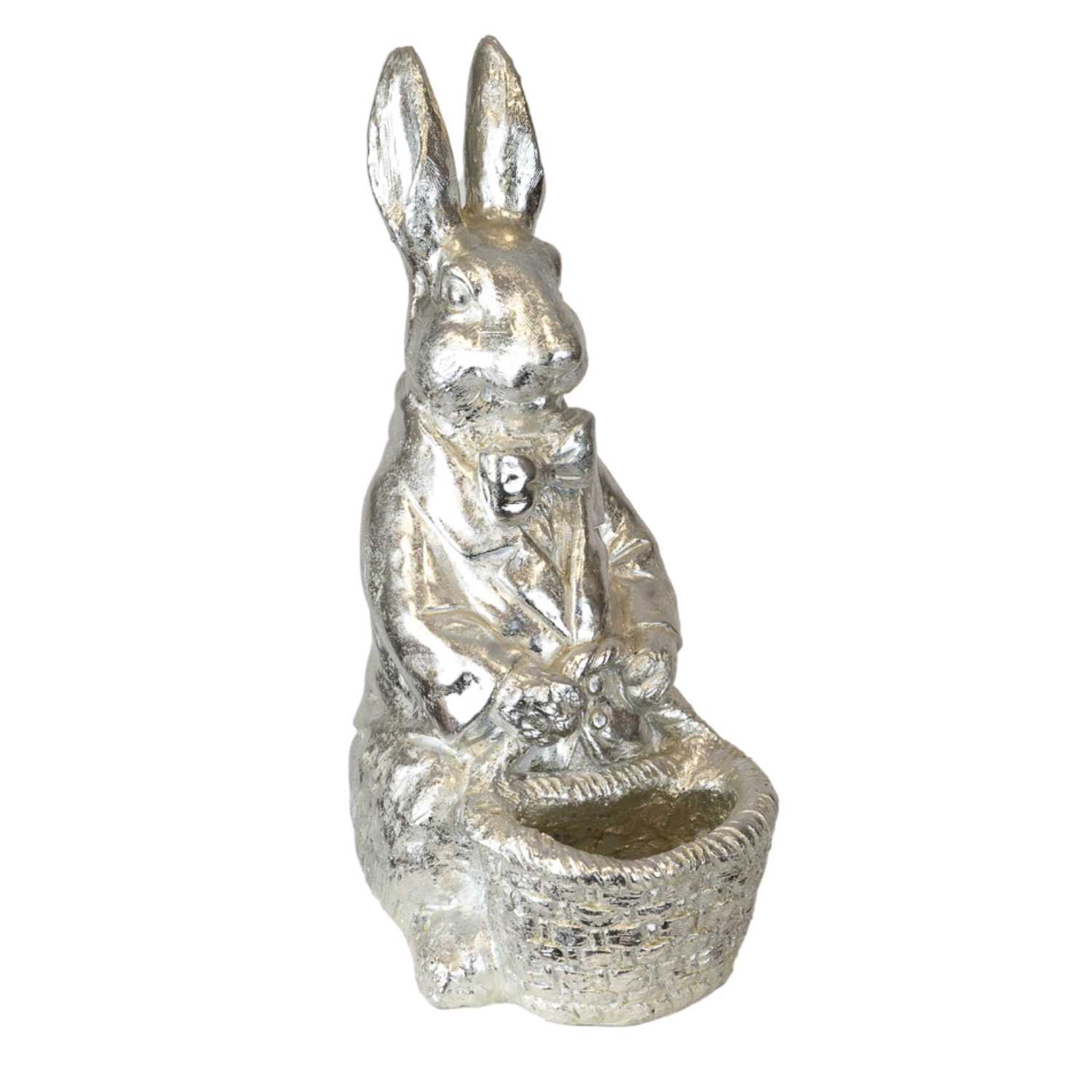 Silver-Daisy-Rabbits-Pot-Front-Hire-Melbourne
