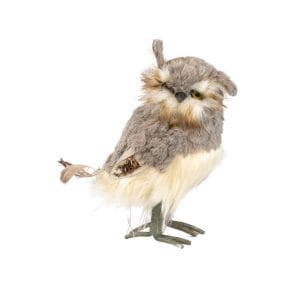 small-feather-owl-hire-melbourne