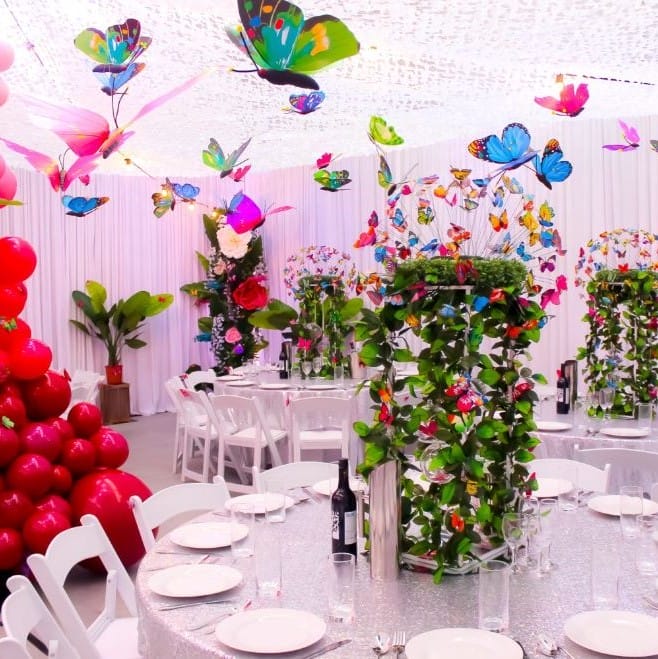 Party & Event Rentals  Butterfly party, Butterfly party