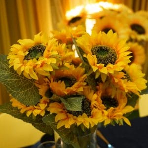 Sunflower Party Hire