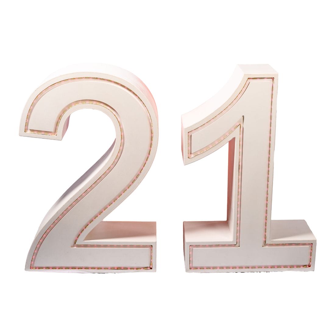 21 Large Light Up Numbers