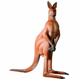 Animal Props - Kangaroo
