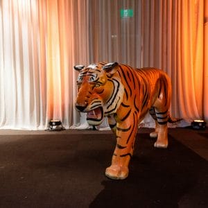 tiger animal prop at safari themed setup