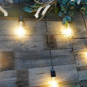 Rustic Backdrop with festoon lights and greenery
