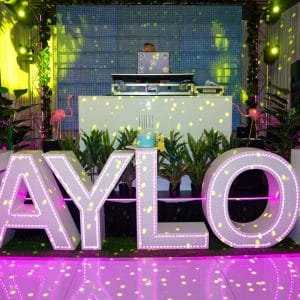 TAYLOR light up letters